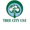 tree-city-800