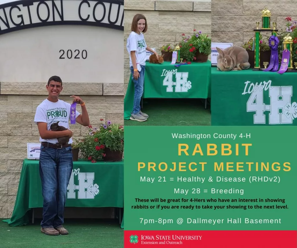 4-H Rabbit Workshops to be Held - Vimarsana News