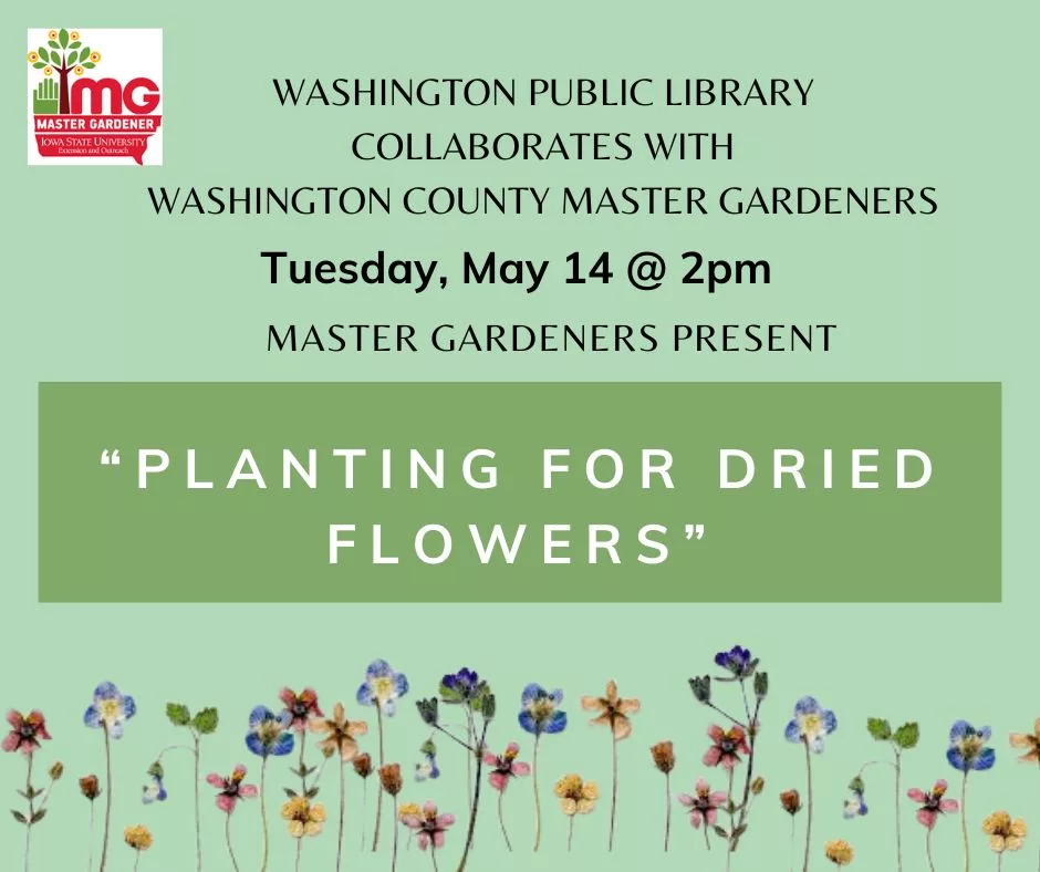 may-14-2024-master-gardeners-planting-for-dried-flowers