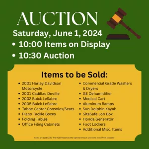 auction-1