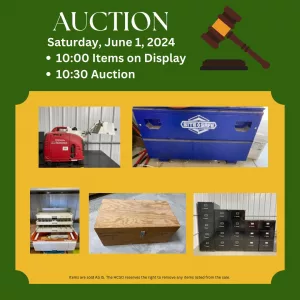 auction-4