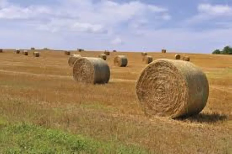 round-bales-800