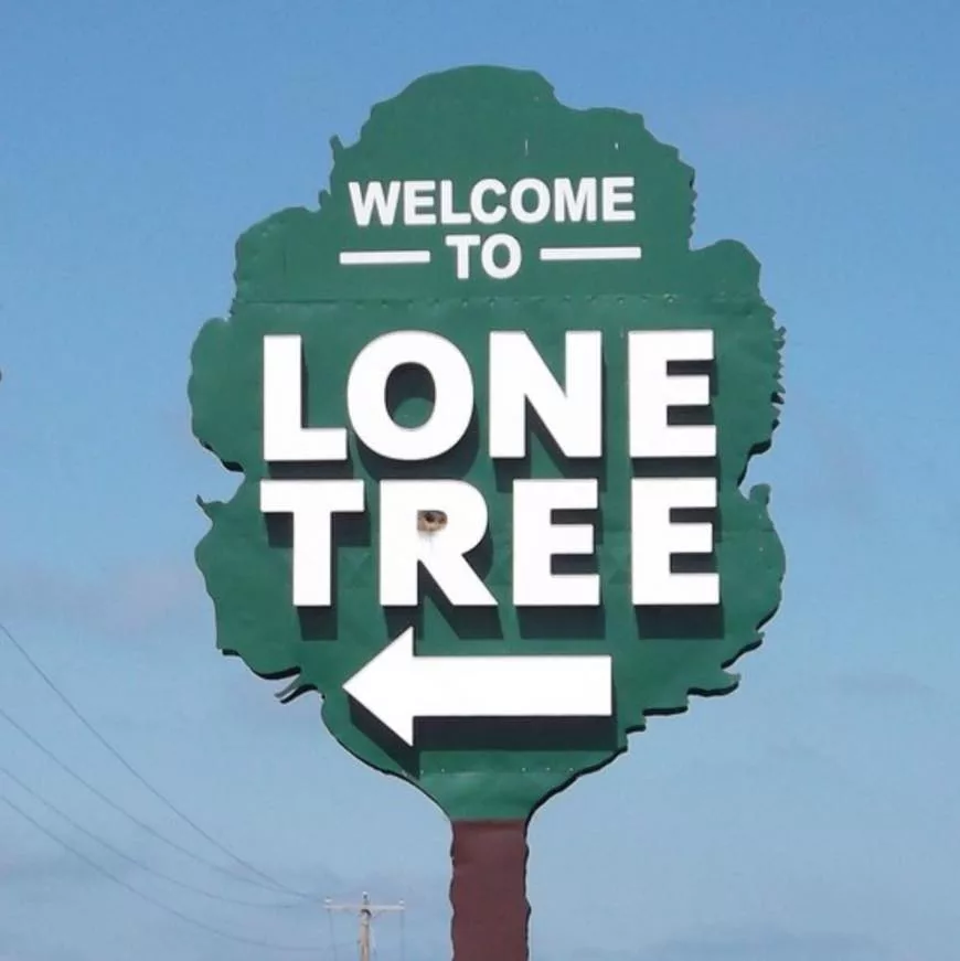 lone-tree-9