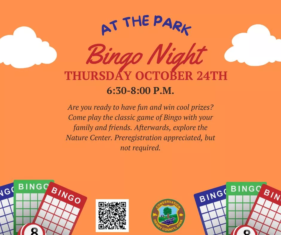 bingo-night