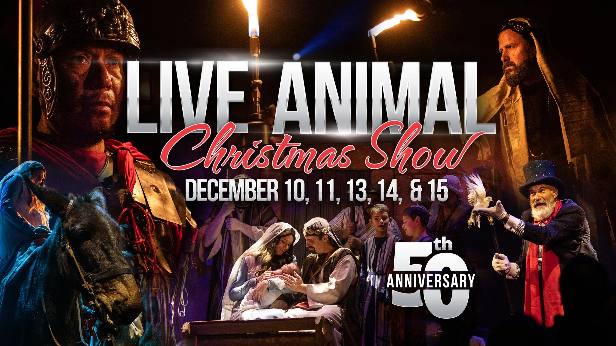 live-animal-xmas-play-2