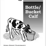 bucket-bottle-calf-800