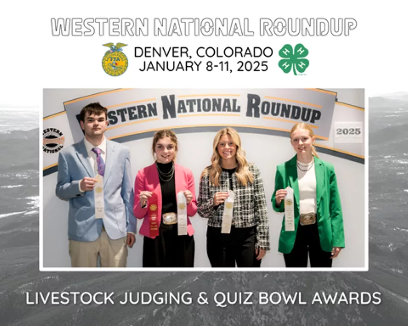 4-h-livestock-judge-800