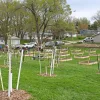 8349-plant-site