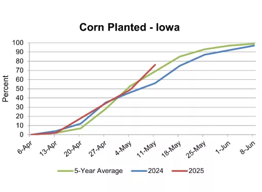 corn-planting-update-usda-5-15-25