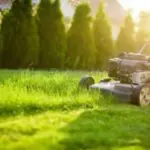 mower-and-grass-800