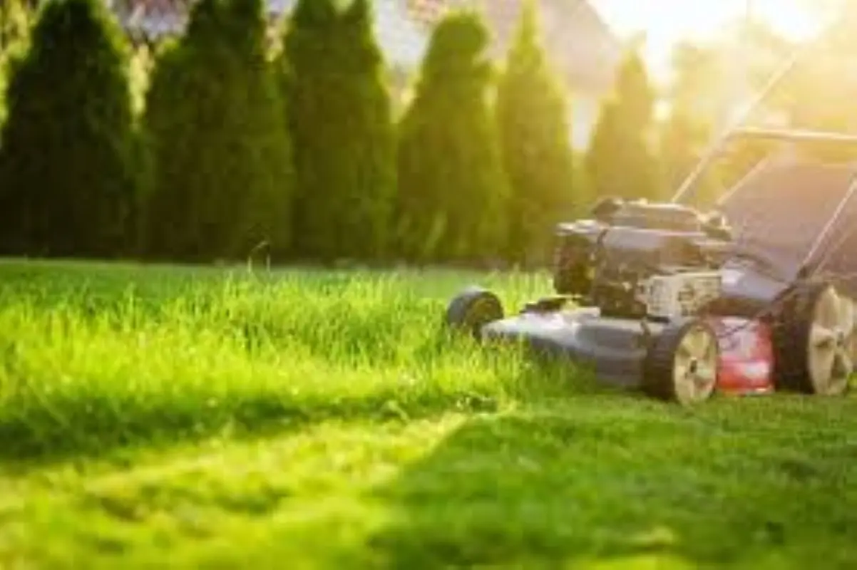 mower-and-grass-800