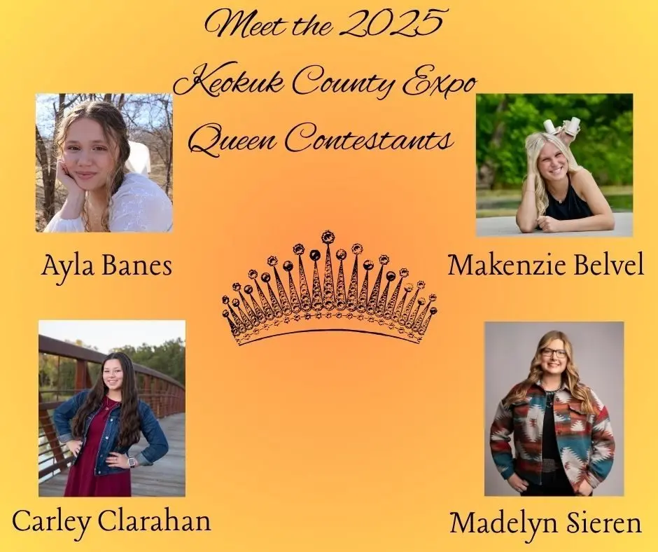 queen-candidates