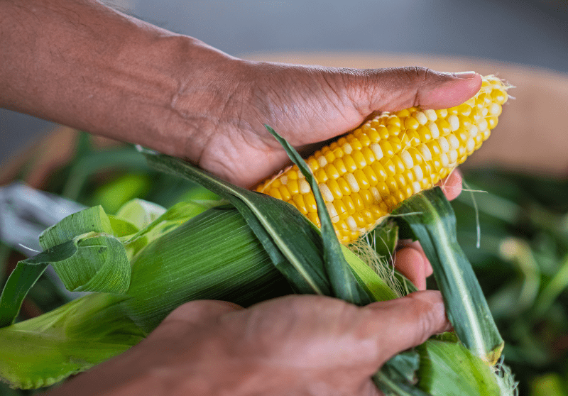 Corn Silking and Soybean Blooms in Iowa Ahead of Last Year's Rate