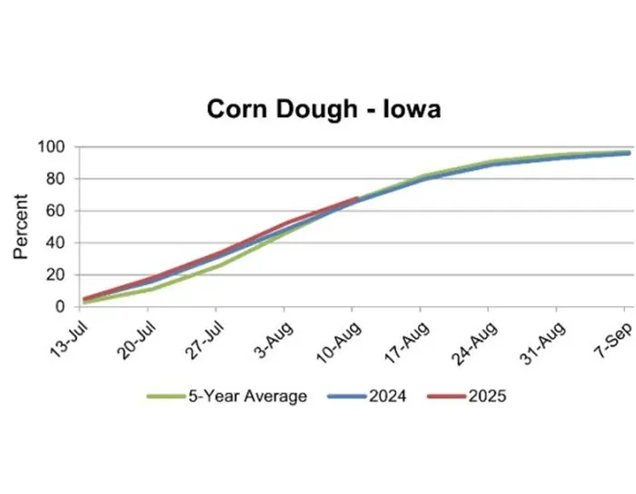corn-progress-update-8-14-25-2