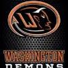 larger-wash-demon-logo