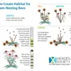 bee-habitat
