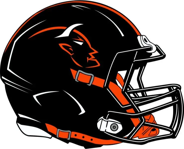 wash-fb-helmet-logo