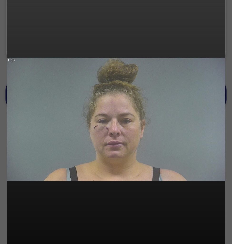 Des Moines Woman Charged with Felony Burglary After Incident in ...