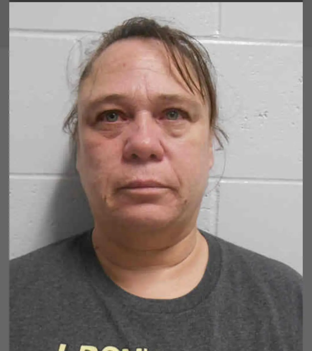 screenshot_20260108_104650_henry-co-sheriff