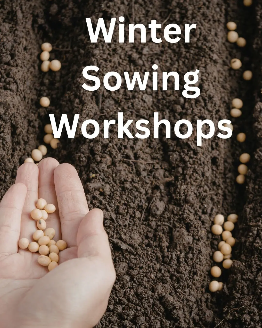 695e8e865dde1_winter-sowing