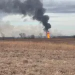 Photo courtesy of Elaine Moore