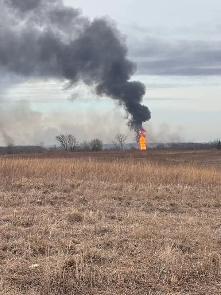 Photo courtesy of Elaine Moore