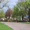 tree-down-washington