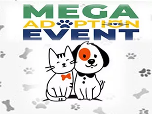 mega-pet-adoption-web