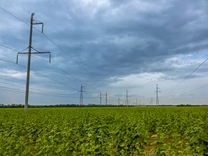 power-lines-and-field