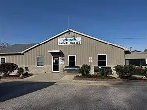 vincennes-animal-shelter-may-2025