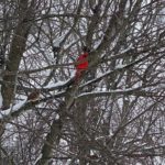 271539955_1098691284219751_2216876401762275537_n