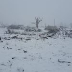 271544104_462886495281616_334959564651940209_n