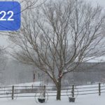 271650100_3087634404825523_1752361812742376649_n