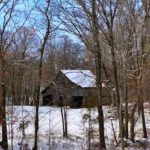 96f35981-e3c9-4351-ac29-11cf2aa095e0