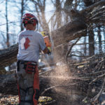 2021_12-Unbridled-Spirit-WHITMAN_Original-Image_m75220