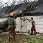 2021_12_18_Unbridled_Spirit_DAVIS_007_Original-Image_m75900