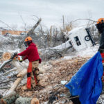 Unbridled Spirit: Sawyers cut a tree while they work in the snow.