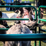 Photo-Oct-15-2022-10-46-41-AM