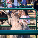 Photo-Oct-15-2022-10-46-50-AM