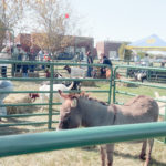 Photo-Oct-15-2022-12-05-03-PM