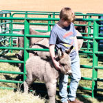 Photo-Oct-15-2022-12-07-24-PM