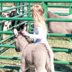 Photo-Oct-15-2022-12-11-37-PM