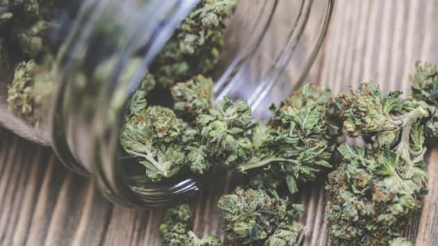 istock_13019_marijuanabuds