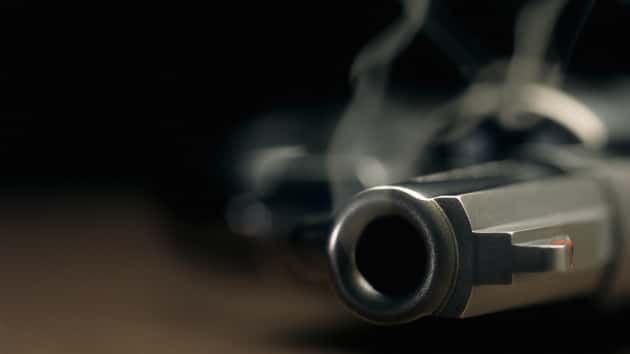 istock_13119_revolver