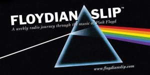 floydian-sticker-wo-bug