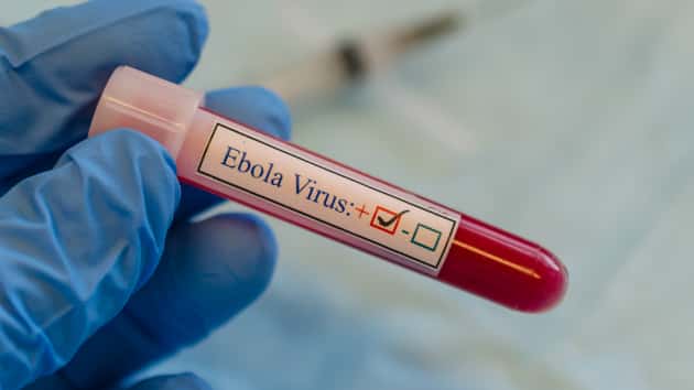 istock_21119_ebolavirus