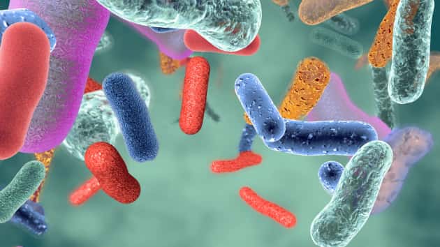 istock_21219_gutbacteria