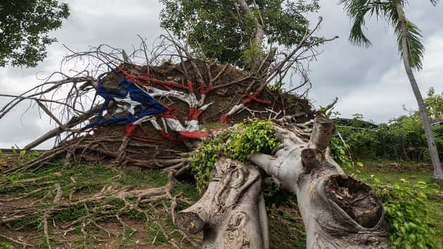 istock_backyardproduction_puertorico