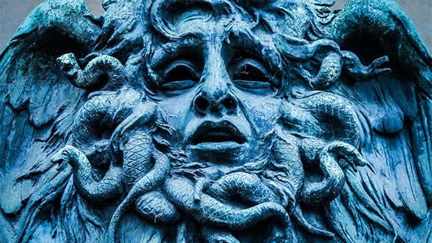 istock_032319_medusa