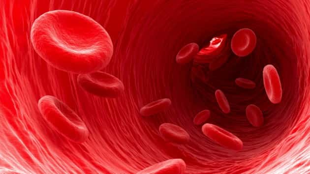 istock_32719_bloodvessel